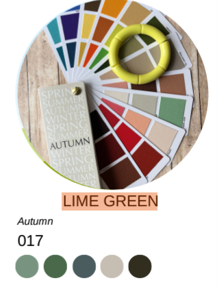 WC Lime Green Bracelet