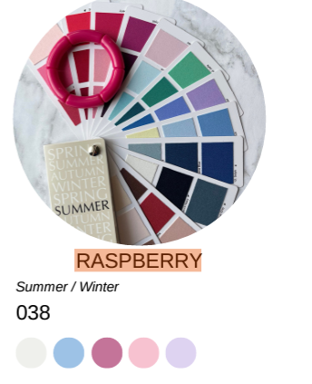 WC Raspberry Bracelet