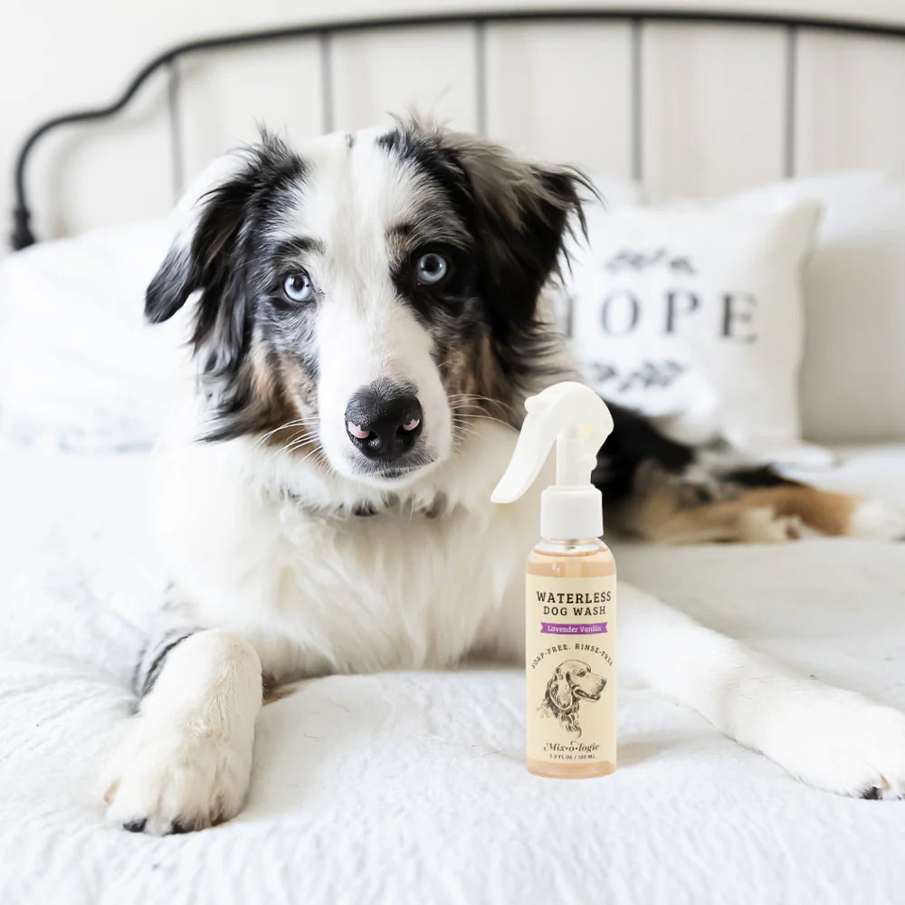 Lavender Vanilla Waterless Dog Wash