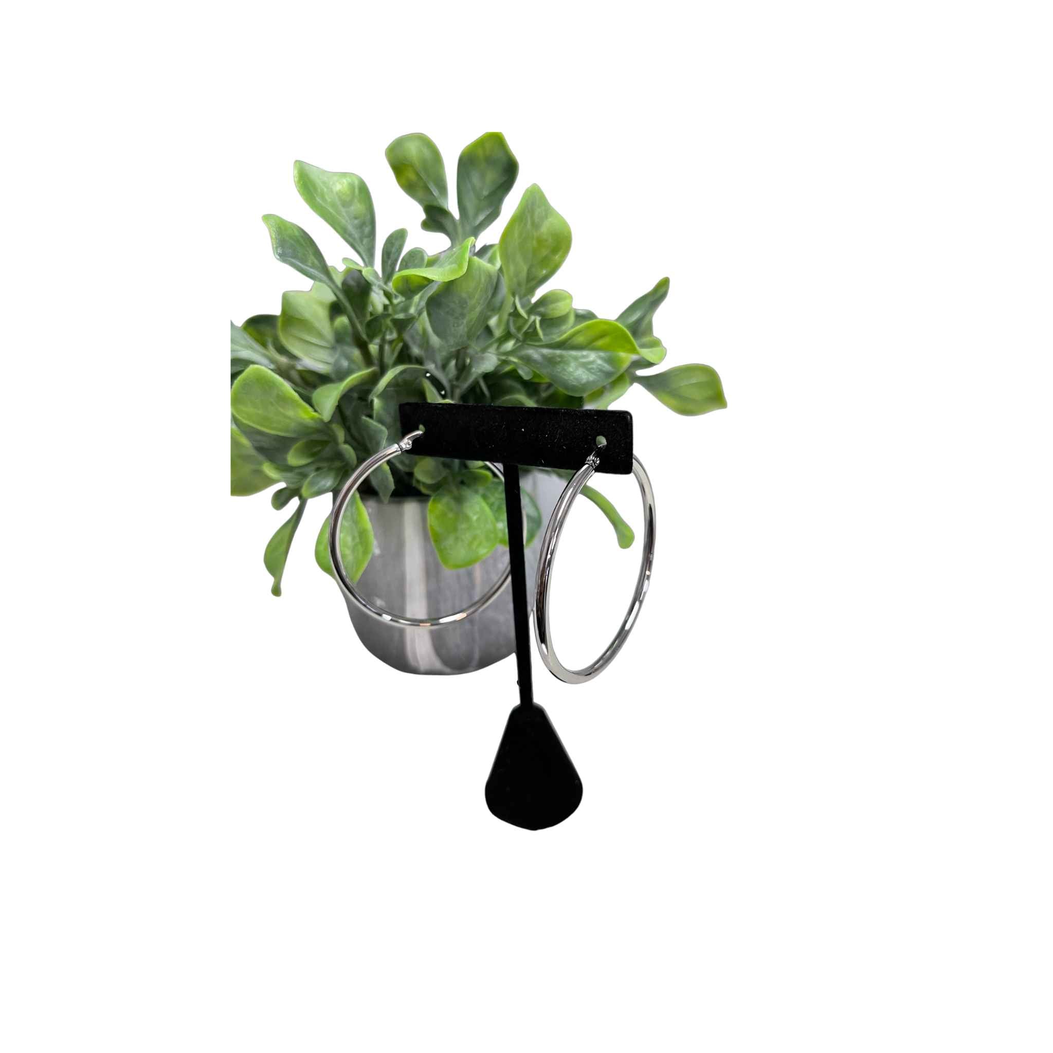 Silver Hoop Earrings