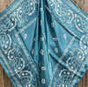 RD Blue & White Paisley Wild Rag