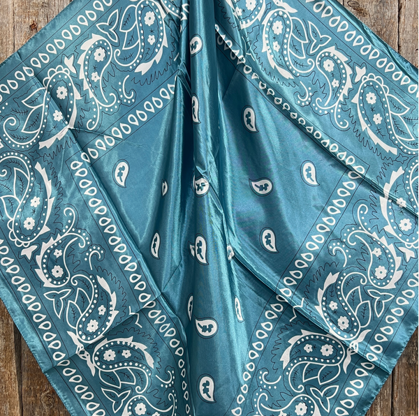 RD Blue & White Paisley Wild Rag