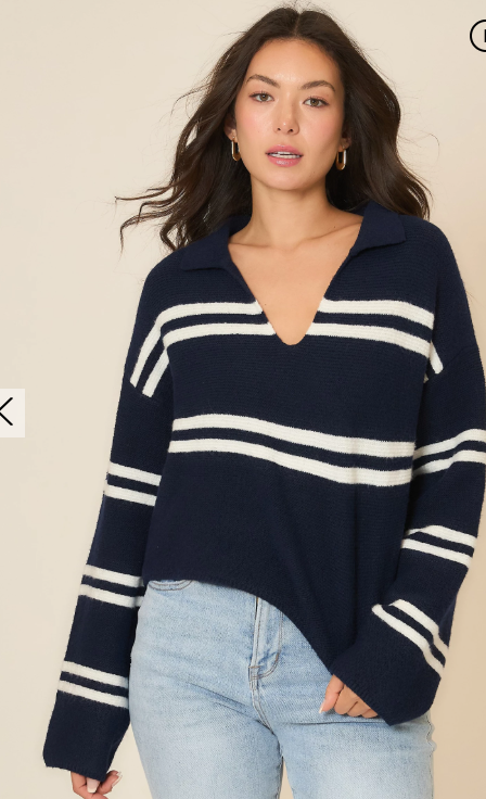 Navy & White V-Neck Sweater