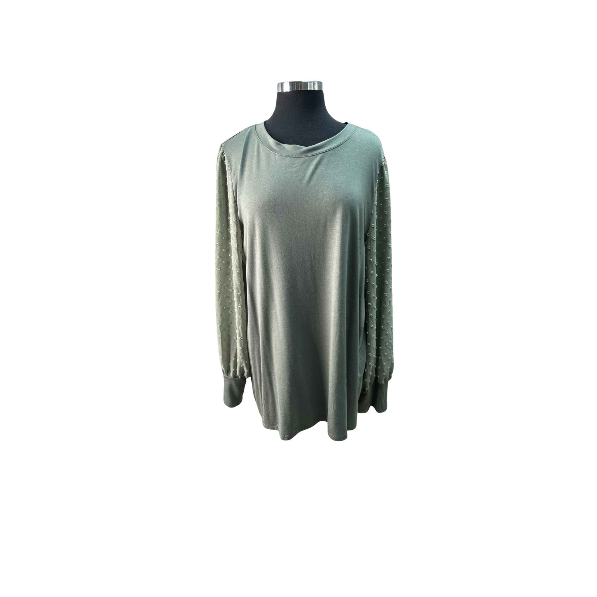 Solid Color Top With Long Chiffon Sleeves