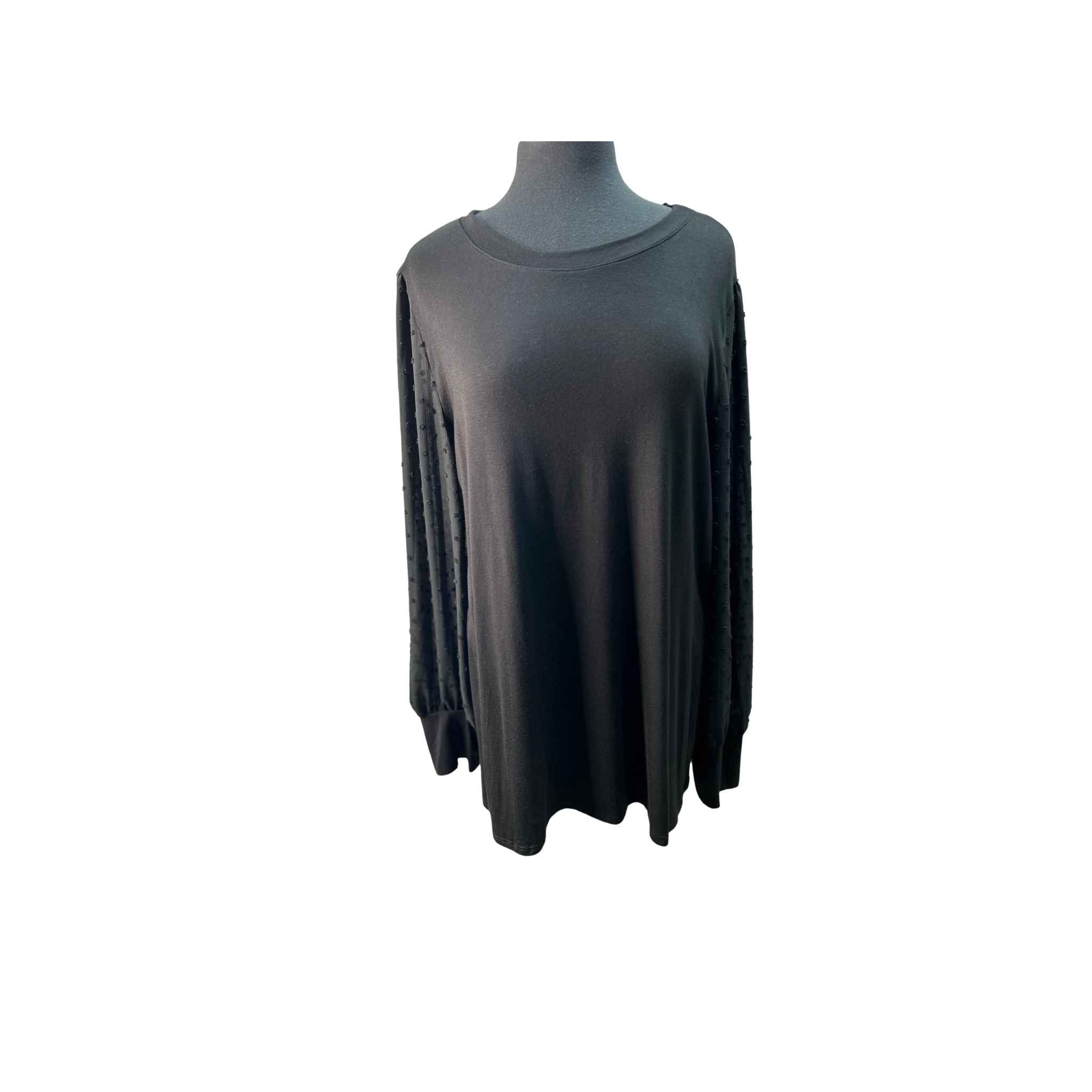 Solid Color Top With Long Chiffon Sleeves